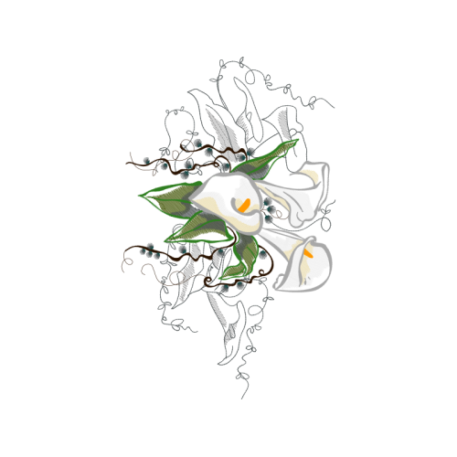 Visual Arts Animals Visual Arts Animals