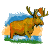 Visual Arts Animals Visual Arts Animals