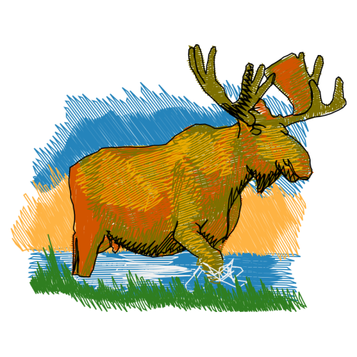 Visual Arts Animals Visual Arts Animals