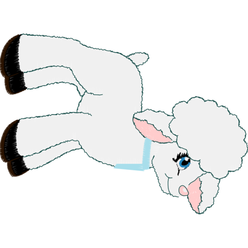 Visual Arts Animals Visual Arts Animals