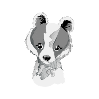 Visual Arts Animals Visual Arts Animals