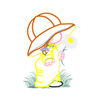 Visual Arts Animals Visual Arts Animals