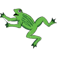 Wallace S Flying Frog Animals Wallace S Flying Frog Animals