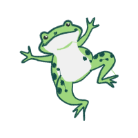 Wallace S Flying Frog Animals Wallace S Flying Frog Animals