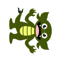 Wallace S Flying Frog Animals Wallace S Flying Frog Animals