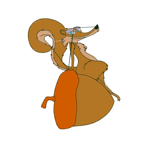 Weevil Animals Weevil Animals