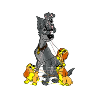 Welsh Terrier Animals