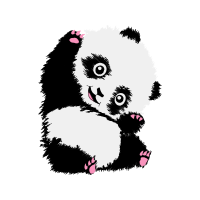 White Animals White Animals