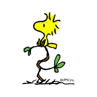 Woodstock Animals Woodstock Animals