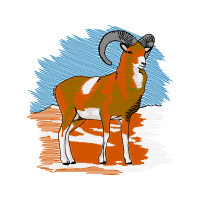 Argali Animals Argali Animals