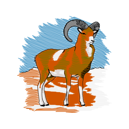 Argali Animals Argali Animals