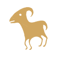 Argali Animals