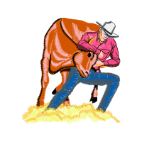 Art Animals Art Animals