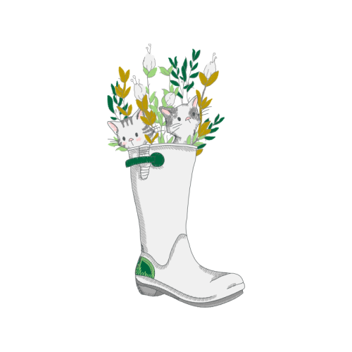 Boot Animals Boot Animals