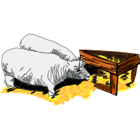 Cartoon Animals Cartoon Animals