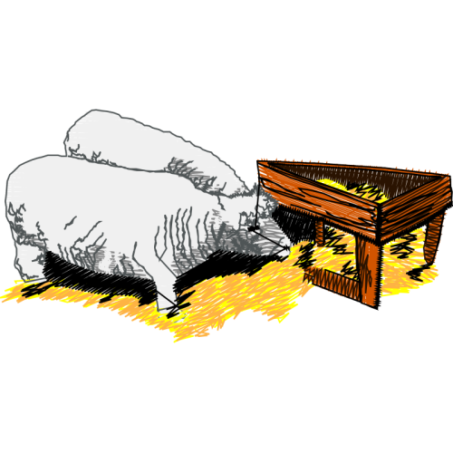 Cartoon Animals Cartoon Animals