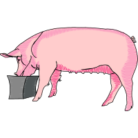 Dog Animals Dog Animals