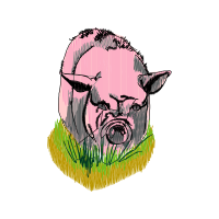 Drawing Animals
