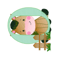 Hamster Animals