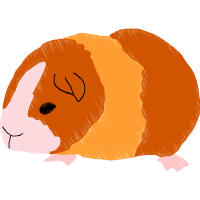 Hamster Animals