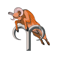 Illustration Animals