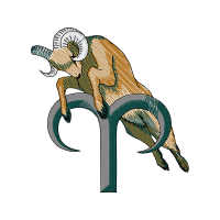 Illustration Animals