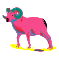 Illustration Animals