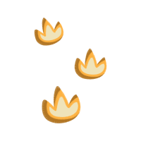 Illustration Animals