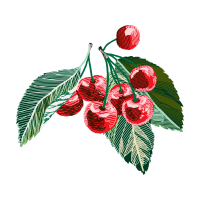 Illustration Animals