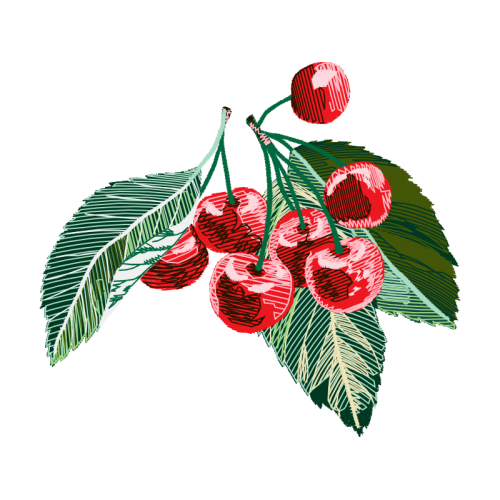 Illustration Animals Illustration Animals