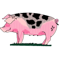 Illustration Animals