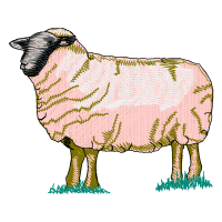 Musk Ox Animals Musk Ox Animals