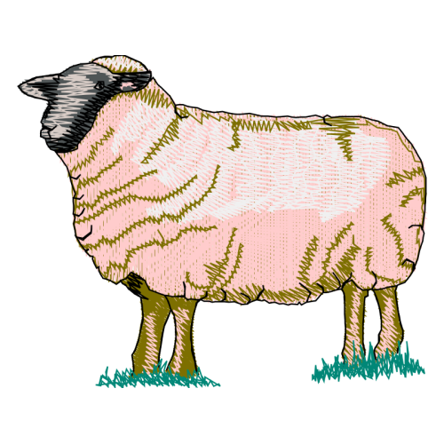 Musk Ox Animals Musk Ox Animals