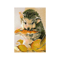 Pig Animals Pig Animals