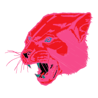 Pig Animals Pig Animals