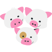 Pig Animals