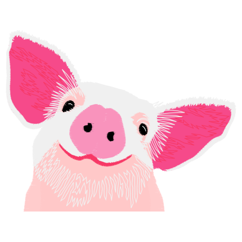 Pig Animals Pig Animals