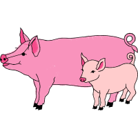 Pig Animals Pig Animals