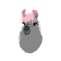 Pomeranian Animals Pomeranian Animals