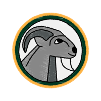 Sheep Animals Sheep Animals