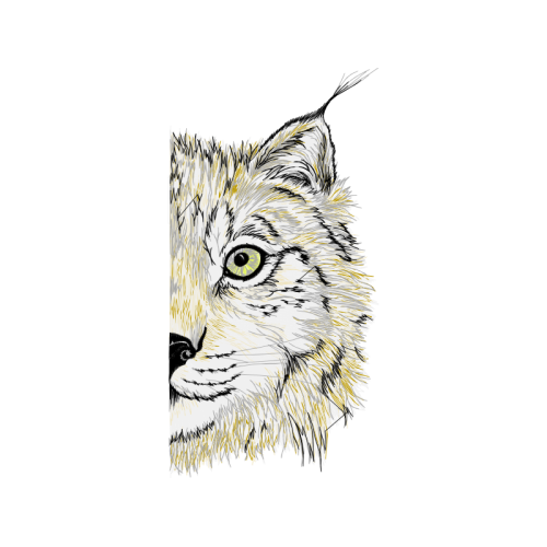 Alaskan Tundra Wolf Animals Alaskan Tundra Wolf Animals