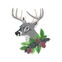 Annthegran Com Animals