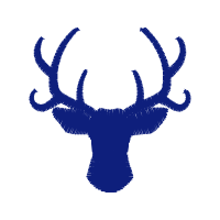 Art Animals Art Animals