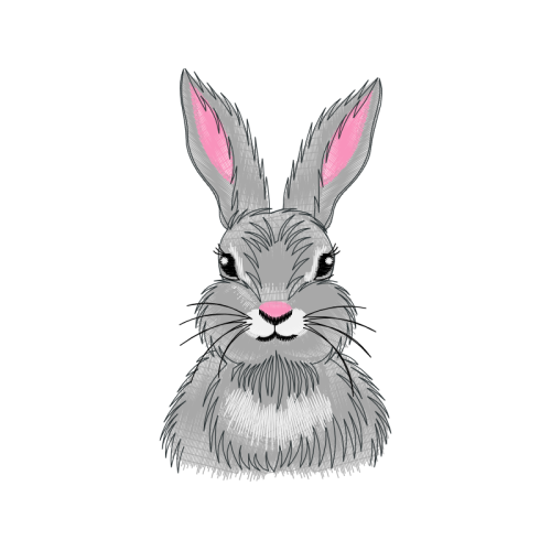 Art Animals Art Animals