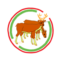 Art Animals Art Animals