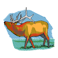 Bactrian Camel Animals Bactrian Camel Animals