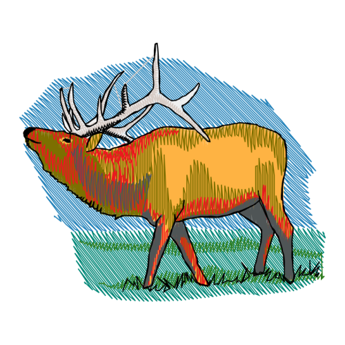 Bactrian Camel Animals Bactrian Camel Animals