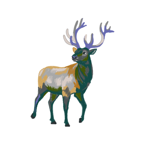 Barren Ground Caribou Animals Barren Ground Caribou Animals