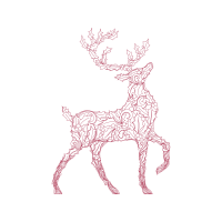 Barren Ground Caribou Animals