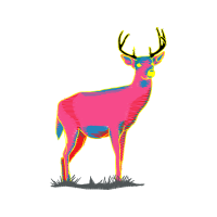 Barren Ground Caribou Animals